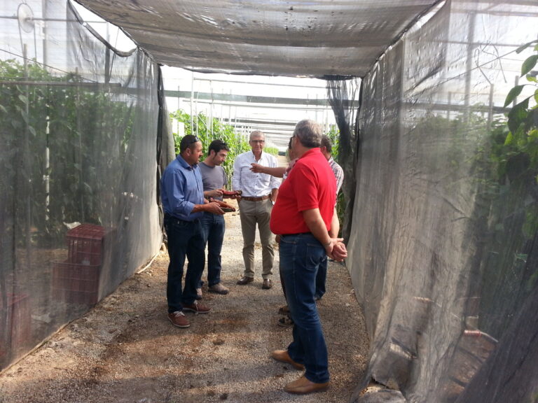 alt-asesoramiento-tecnico_orig