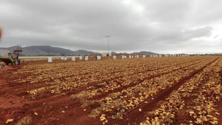 img-20160429-wa0000_1_orig