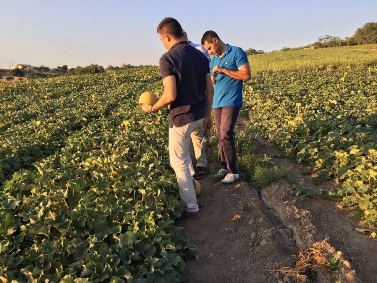 img-20160729-wa0004_1_orig