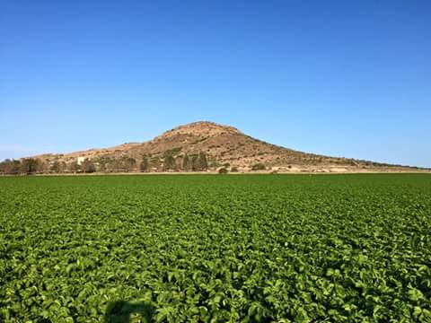 img-20160808-wa0001_1_orig